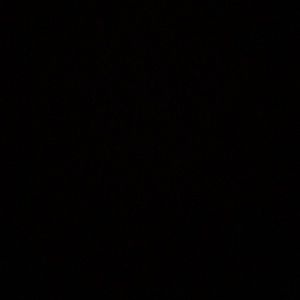 Meet your Posher, Lily